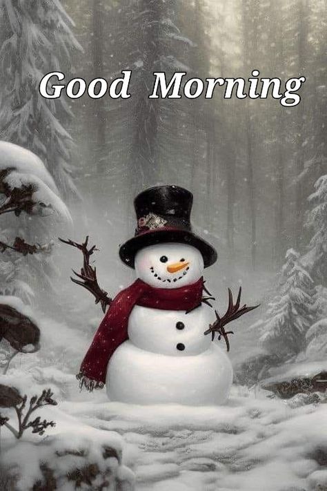 Good Cold Morning, Snowy Good Morning, Good Snowy Morning, Good Night Winter Images, Snow Good Morning, Good Morning January, Good Morning Snow, Christmas Morning Quotes, Winter Good Morning