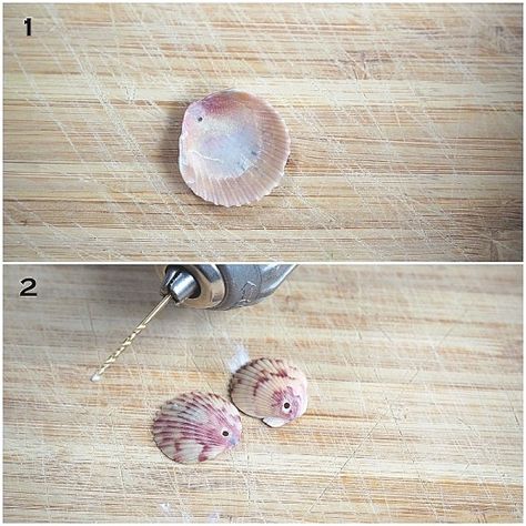 Diy Seashell Earrings, Shell Earrings Diy Seashell Jewelry, Seashell Earrings Diy, Shell Earrings Diy, Diy Seashell Jewelry, Seashell Necklace Diy, Shell Necklace Diy, Seashell Jewelry Diy, Seashell Hair