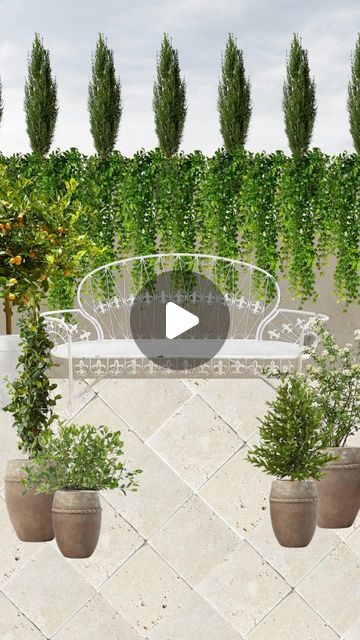 Addy | Interior Design on Instagram: "There is nothing I want more than a European inspired garden

Follow @adionainteriors for more design inspiration 
.
.
.
.
.
Exterior design, garden design, outdoor living, whimsical garden, cascading vines, potted plants, mini trees, landscaping, Italian cypress trees, jasmine" Italian Trees Landscaping, Garden Design Outdoor, Italian Cypress Trees, Trees Landscaping, Italian Cypress, I Want More, Design Outdoor, Cypress Trees, Design Garden