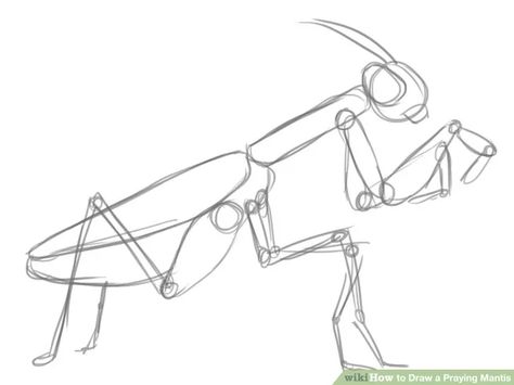 Image titled Basic Shapes Step 1 4 Insect Sketch, Bugs Drawing, Etch A Sketch, Praying Mantis, Insect Art, Bugs And Insects, Basic Shapes, Animal Sketches, Cool Art Drawings