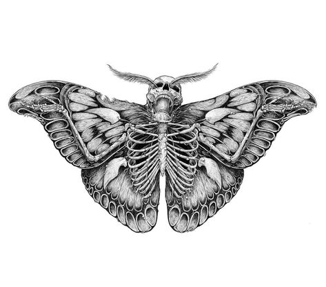 Taxidermy Tattoo, Fenrir Tattoo, Moth Tattoo Design, Rings Tattoo, Left Arm Tattoos, Lord Of The Rings Tattoo, Tattoos Infinity, The Beginning Of The End, Insect Tattoo