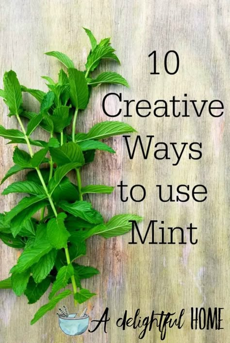 Ways To Use Mint, Uses For Mint Leaves, Mint Plant Uses, Mint Recipes Fresh, Ways To Be Creative, Drying Mint Leaves, Mint Herb, Peppermint Plants, Preserving Herbs