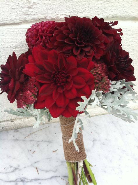 Deep red dahlia mini bouquet Event Designs by Katherine Red Dahlia Bouquet, Dalia Bouquet, Burgundy Weddings, Dahlia Wedding Bouquets, Dahlias Wedding, Black Bouquet, Dahlia Bouquet, Red Dahlia, Orchid Bouquet