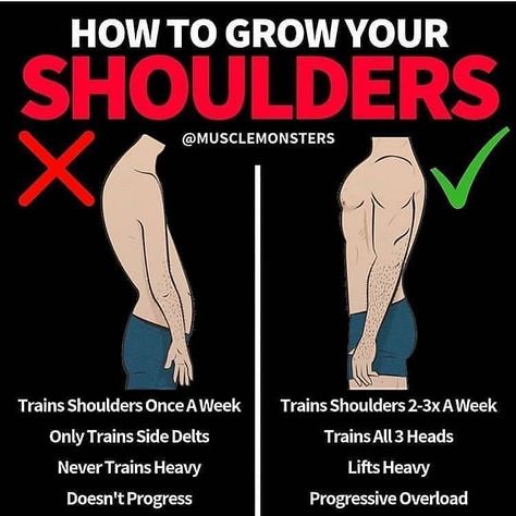 ⏲Gym Tips Posted Every Day!⏲ on Instagram: “🔥𝗛𝗢𝗪 𝗧𝗢 𝗕𝗨𝗜𝗟𝗗 𝗬𝗢𝗨𝗥 𝗦𝗛𝗢𝗨𝗟𝗗𝗘𝗥𝗦! Follow @TheTrainingManual for More!📚 . 💪🏼SAVE THIS TO REVIEW LATER!🔰Tag a friend who needs to see this!🙋🏻‍♂️…” Shoulder Training, Gym Workout Chart, Gym Video, Gym Tips, Trening Fitness, Cardio Routine, Big Shoulders, Shoulder Muscles, Workout Chart