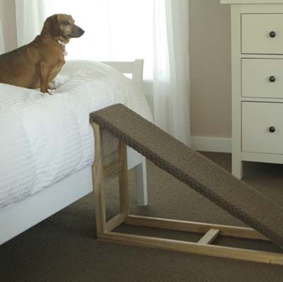 Movin' On Up Dog Ramp Diy, Dog Ramp For Bed, Dogs Ideas, Pig Care, Dogs Diy Projects, Cat Patterns, Dog Spaces, Pet Ramp, Dog Stairs