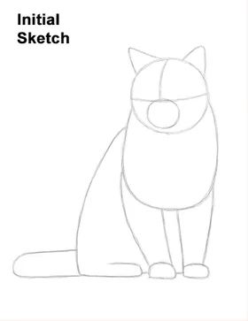 Cat Drawing Icon, Cat Sitting Drawing, Mancoon Cat, Drawing Cat Face, Sketching Cats, Cat Sitting Down, Cat Pupils, Easy Cat Drawing, Wolf Drawing Easy