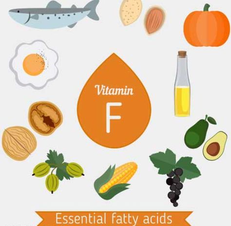 Vitamin F is not a vitamin in the traditional sense, but rather a term used for two fats — alpha-linolenic acid (ALA) and linoleic acid (LA). They are essential fatty acids (EFAs) and are required for regular body functions and are very importa Body Functions, Deep Fried Food, Vitamin F, Brain And Heart, Peanut Oil, Flaxseed Oil, Cell Membrane, Linoleic Acid, Brittle Hair