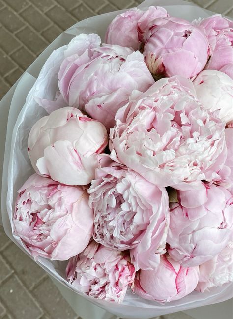 Pink Peony Bouquet Wedding, May Aesthetic, Light Pink Peonies, White Peonies Bouquet, Pale Pink Peonies, Flower Boquet, Painting The Roses Red, House Smell Good, Peony Wallpaper