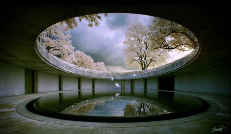 10 Iconic Tadao Ando Buildings You Should Visit Tadao Ando Buildings, Chichu Art Museum, Church Of Light, Naoshima Island, Modern Japanese Architecture, Design Japonais, Tadao Ando, Japanese Architecture, House Museum