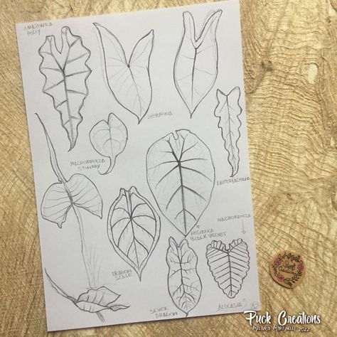 Alocasia Leaf Tattoo, Alocasia Plant Drawing, Alocasia Drawing, Alocasia Tattoo, Flesh Drawing, Faux Stained Glass Art, Plant Sleeve, Draw Leaves, Moth Drawing