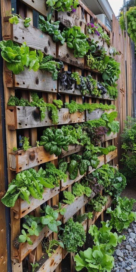 Sustainable Vegetable Garden, Vegetable Patch Ideas, Patio Vegetable Garden Ideas, Raised Vegetable Garden Ideas, Dream Vegetable Garden, Vegetable Garden Design Layout, Home Vegetable Garden Design, Vertical Pallet Garden, Vertical Vegetable Gardens