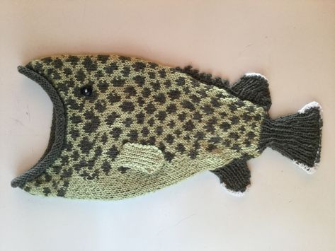 Fish Crochet Hat, Knit Fish, Knitted Fish, Fish Crochet, Fish Hat, Basic Pattern, Cod Fish, Diy Crafts To Do, Crochet Hat