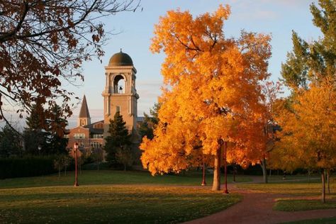 University of Denver Colorado College, School Scholarship, University Of Denver, Top Colleges, University Of Colorado, College Application, College Campus, State College, College Fun