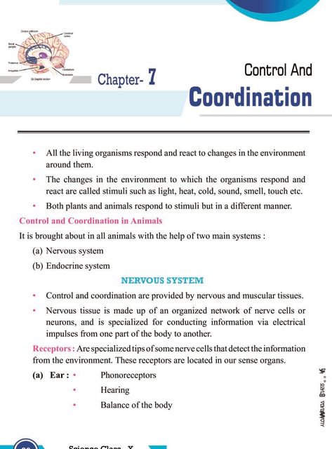 Class 10 Science Notes for Control and Coordination Class 10 Science Notes Control And Coordination, Nationalism In India Class 10 Notes, Control And Coordination Class 10 Notes, Neural Control And Coordination Notes, Class 10 Science Notes Biology, Control And Coordination Notes, Class 10 Science Notes, Medical Terminology Study, Bio Notes