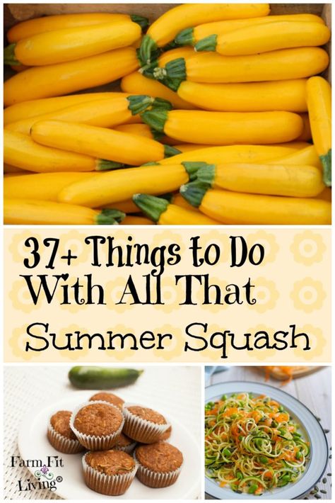 Canning Yellow Squash, Easy Squash Recipes, Canned Squash, Was Sind Curtain Bangs, Sind Curtain Bangs, Zucchini Desserts, Zucchini Cheddar, Squash And Zucchini, Homestead Gardening