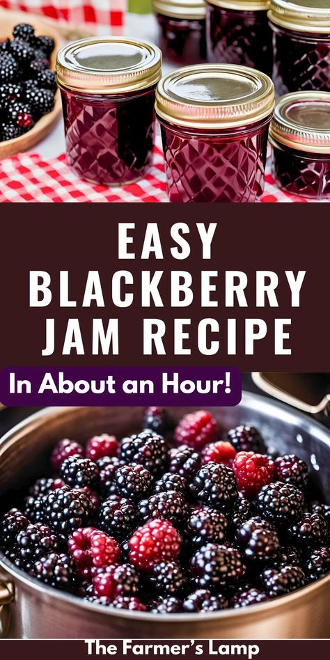 Easy Blackberry Jam Recipe • The Farmer's Lamp Blackberry Jam Canning Recipe, How To Make Blackberry Jam, Recipes With Blackberries, Jam Canning Recipes, Jam Recipes For Canning, Black Raspberry Jam Recipe, Easy Blackberry Jam, Homemade Jam Recipes, Canning Jelly