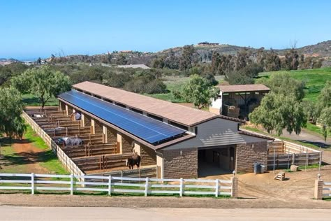 Great barn Small Paddock, Barn Layout, Horse Farm Ideas, Cattle Barn, Horse Barn Ideas Stables, Horse Barn Designs, Horse Shelter, Dream Horse Barns, Dream Stables