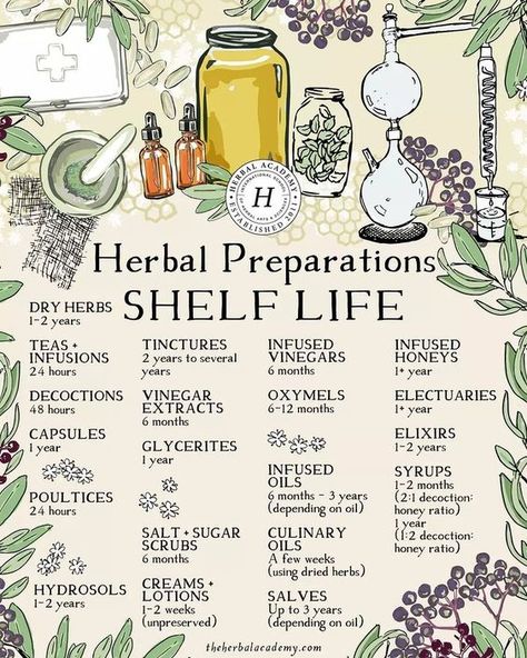 Herbal Preparations Shelf Life Poster High quality resin-coated photo base paper. Satin photo finish, maximum color gamut, dmax, and image resolution Tincture Shelves, Home Herbal Apothecary, Herbal Journal Ideas, Herb Shop Ideas, Apothecary Set Up, Home Apothecary Room, Apothecary Aesthetic Kitchen, Herbal Aesthetic, Herbal Apothecary Aesthetic