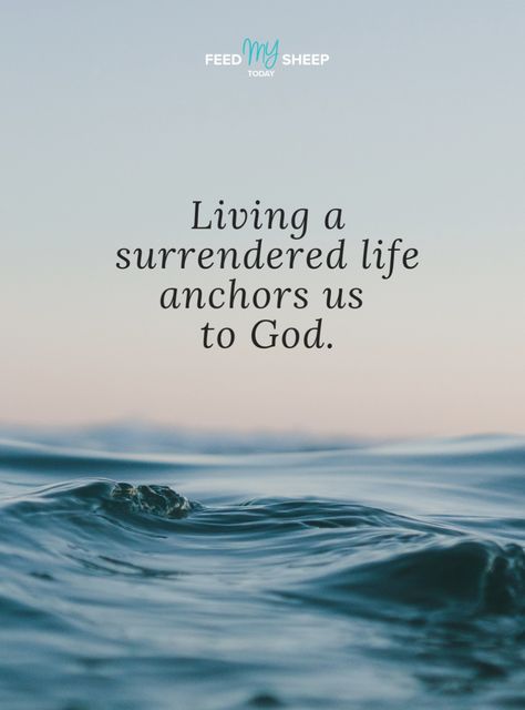 Do you want to be anchored to God? All it takes is surrender. Reach out to us if you have any questions about what it looks like to live a life of surrender: https://www.feedmysheeptoday.org/contact-us #FeedMySheepToday #Surrender #AnchoredToGod God I Surrender All To You, Surrender Quotes Spiritual Inspiration, Surrender Quotes, Feed My Sheep, I Surrender All, God's Timing, I Surrender, Surrender To God, Universe Quotes