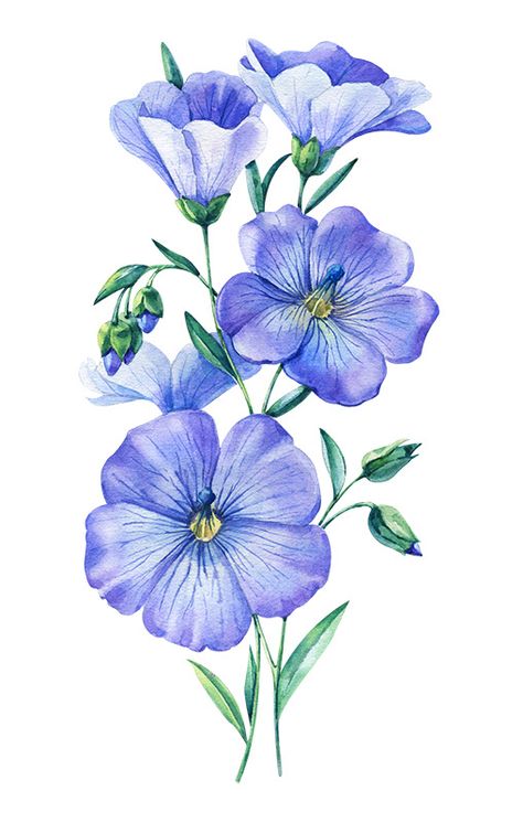 Watercolor flowers 2020 on Behance Watercolor Tulips, Flower Art Drawing, Cool Pencil Drawings, Flower Painting Canvas, Flower Sketches, Floral Drawing, Watercolor Flower Art, 수채화 그림, Watercolor Art Lessons