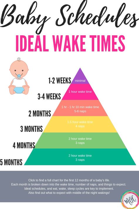 What is the Babywise Eat Wake Sleep Cycle? Pregnant Checklist, Baby Routines, Awake Times For Babies, Nanny Tips, Baby Wise, Infant Sleep, Fourth Trimester, Newborn Schedule, Pregnancy Problems