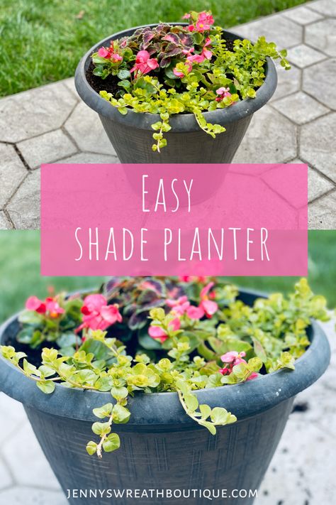 How to make an easy summer container for your shaded front porch. #containergardening #shadeplants #shadecontainergardeningideas Porch Gardening, Shade Containers, Porch Shades, Bocce Court, Fall Containers, Tall Planters, Good Bones, Container Garden, Garden Tours