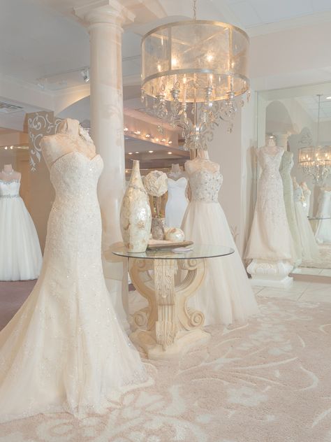 Bridal Shop Interior, Bridal Shop Decor, Bridal Shop Ideas, Bridal Boutique Interior, Sorella Vita Bridesmaid Dresses, Wedding Dress Boutique, Wedding Salon, Wedding Dress Store, Wedding Dress Boutiques