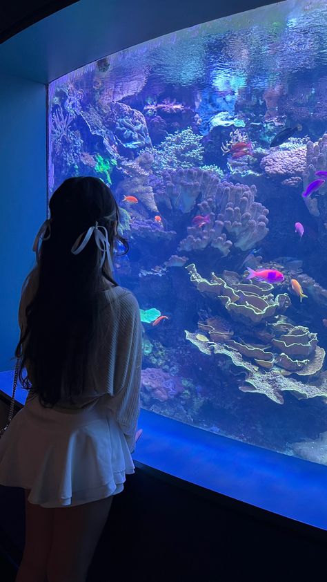 instagram story, skirt, hair bows Aquarium Photo Ideas, Aquarium Outfit Ideas, Aquarium Outfit, Aquarium Photos, Aquarium Pictures, Photo Idea, Sea World, Beach Photos, Under The Sea