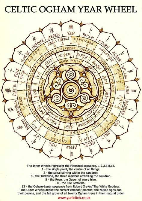 Celtic Ogham Year Wheel Print by Yuri Leitch                              … Year Wheel, Celtic Ogham, Celtic Paganism, Wheel Art, Celtic Mythology, Medicine Wheel, Celtic Tree, Celtic Symbols, Celtic Art