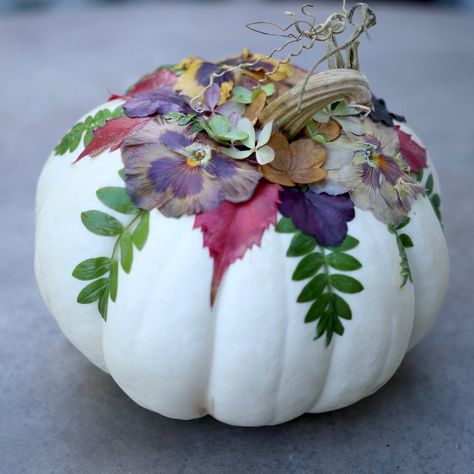 Floral pumpkins Halloween Decoupage, Decorated Pumpkins, Decoupage Pumpkins, Pumpkins Decor, Diy Pumpkins, Floral Halloween, Garden Answer, Tall Pumpkin Carving, Train Pumpkin Carving