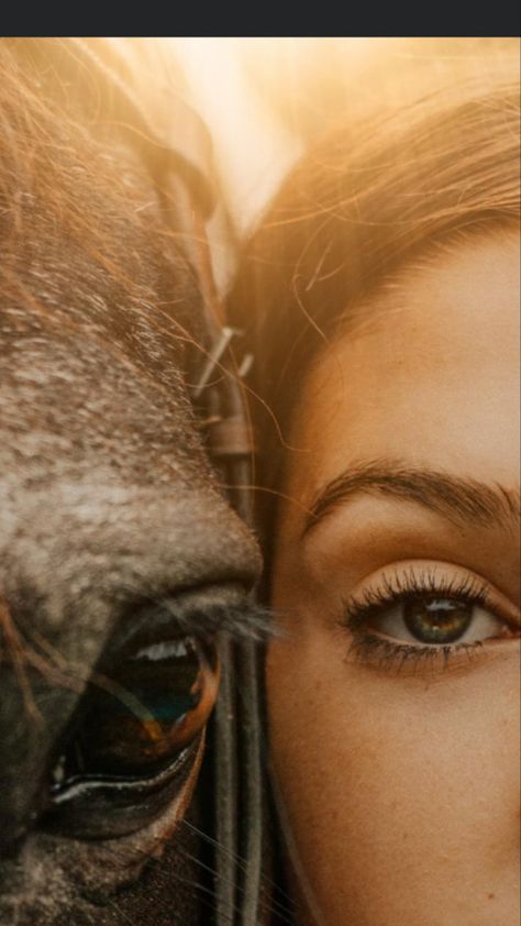 Horse Portrait Photography, Horse And Human, Horse Portrait, Human Eye, Types Of People, Photography Inspo, A Horse, Photography Business, Oh My