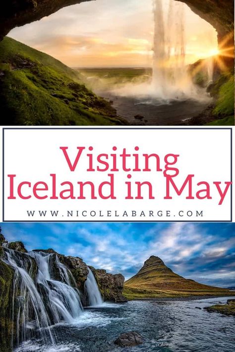 Reykjavik Northern Lights, Iceland In May, Things To Do In Iceland, Lights Winter, Iceland Travel Guide, Iceland Travel Tips, Trip To Iceland, Visit Iceland, Golden Circle