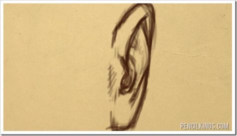 How to Draw an Ear | 02 | Front View 12 blog ear front view How To Draw Ears From Front View, Ear Front View Drawing, Ear From Front View, Drawing Ears Front View, Ears Front View Drawing, Ear Drawing Front View, Ear References Front View, Ear Front View, Draw Ear