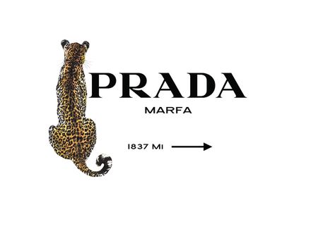 Prada style print with leopard feature wall art. Marfa Prada, Prada Poster, Cheetah Background, Cheetah Wallpaper, Leopard Print Background, Leopard Print Wallpaper, Cheetah Print Wallpaper, Prada Style, Wallpapers Ipad