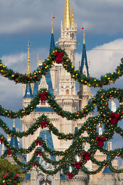 Holidays Decorations, Disney Magical, Cinderella's Castle, Disneyland Christmas, Disney World Christmas, Disney Kingdom, Christmas Light Displays, Disney Images, Christmas Parade