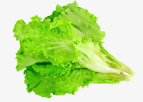 Lettuce Romaine, Salad Vegetarian, Leaf Vegetable, Leaves Png, Food Salad, Salad Leaves, Leaf Clipart, Spring Background, Leaf Images