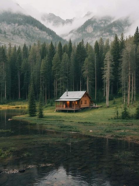 Forest Cottage Aesthetic, Tiny Log Cabins, Colorado Mountain Homes, Little Cabin In The Woods, Cabin Aesthetic, Forest Cottage, Small Log Cabin, Cabin In The Mountains, Cabin Tiny House