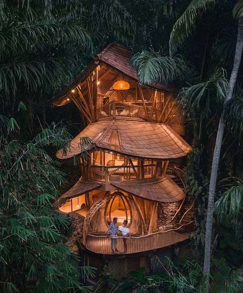 Tree House Jungle, Themed Airbnb, House Jungle, Home Jungle, Beautiful Tree Houses, Kids Yard, Tree House Diy, Jungle House, Cool Tree Houses