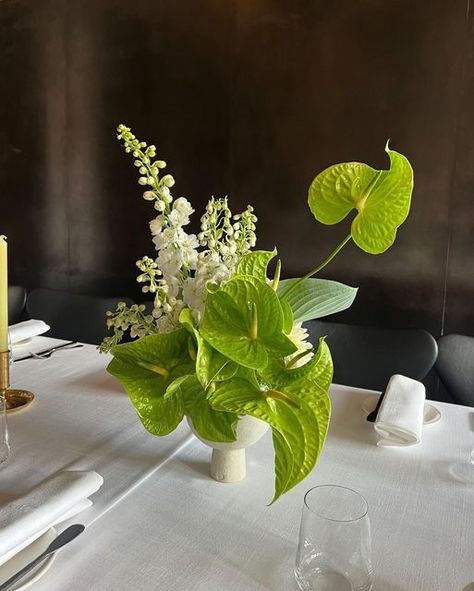 Honesty Flora on Instagram: "For Francesca & Zach back in December 🍀 #honestyflora #poweroftheflower" Plant Garden Ideas, Indoor Plant Garden, Anthurium Arrangement, Sogetsu Ikebana, White Flower Arrangements, Orchid Centerpieces, Ikebana Arrangements, Wedding Reception Flowers, Plant Garden