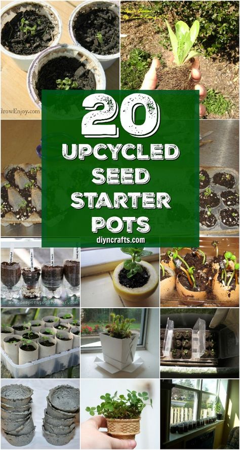 20 Upcycled Seed Starter Pots You Can Easily Make At Home {Curated and Published by DIYnCrafts.com} via @vanessacrafting Homestead Survival, Upcycling, Garden Diy Decoration Ideas, Seed Planter, Seed Starters, Seedling Pots, Seed Pots, Seed Starter, Starting A Garden