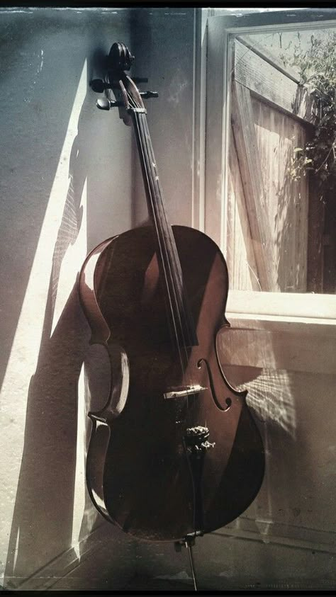 My wallpaper Cello Aesthetic, Cello Art, Old Violin, Cello Music, Music Student, Cellos, All About Music, Double Bass, Music Aesthetic