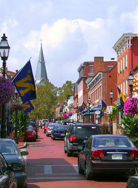 6 Things to Know Before Moving to Annapolis Maryland Downtown Annapolis, United States Naval Academy, Go Navy, Annapolis Maryland, Naval Academy, Studio Apartments, Food Tour, Chesapeake Bay, Delicious Food