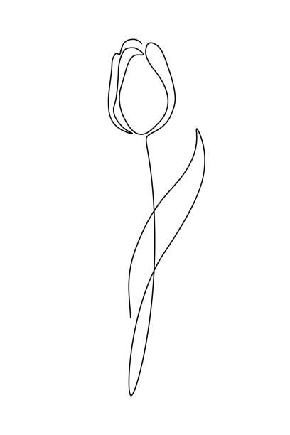 Single Line Tulip, Single Line Flower Drawing, Line Art Drawings Simple, Continues Line Drawing, Continuous Line Flower, Tulip Line Drawing, One Line Art Drawings, One Line Drawing Flower, Flower One Line Drawing