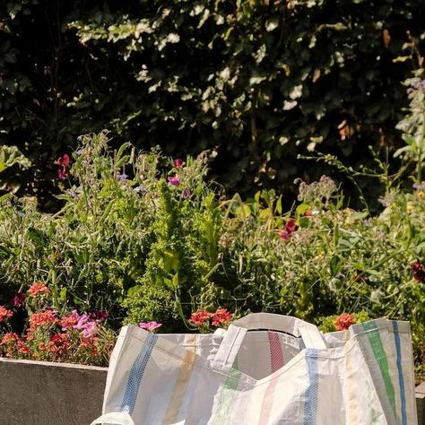 Hay Bag, Hay Design, Striped Bags, Candy Stripes, Wash Bag, May 21, Wash Bags, Candy, Water