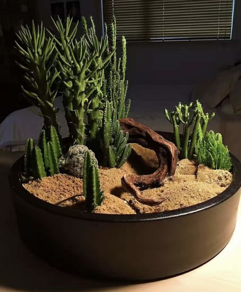 Miniature Garden Diy, Mini Cactus Garden, Mini Succulent Garden, Fairy Garden Pots, Cactus Terrarium, Tattoo Plant, Diy Succulent Terrarium, Succulent Garden Design, Succulent Garden Diy