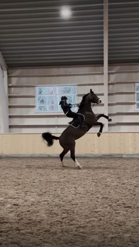 Horse Riding Fails Videos, Horse Videos Jumping, Horse Riding Fails, Video Cavalli, Horse Falls, Cavalli Video, Horse Fails, Horses Jumping, Horse Video