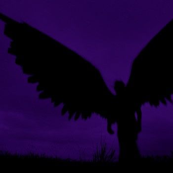 Purple Raven Aesthetic, Purple Bird Aesthetic, Purple Assassin Aesthetic, Neon Purple And Black Aesthetic, Purple Wings Aesthetic, Dark Purple Grunge Aesthetic, Purple Western Aesthetic, Purple Demon Aesthetic, Purple Black Aesthetic