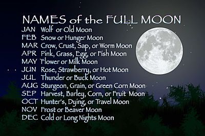 The Old Spirit Path: Full Moon Names and Their Meanings Full Moon Names, Corn Moon, Moon Meditation, Moon Names, Moon Magick, Strawberry Moons, Moon Moon, Moon Cycles, Beautiful Moon