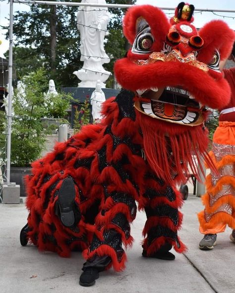 Sleepy Dragon Tattoo, Lion Dance Costume, Lion Dragon, Chinese Lion Dance, Dancer In The Dark, Dragon Ideas, Chinese Lion, Dragon Dance, Creature Artwork