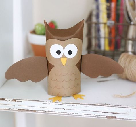 How to make an owl with a toilet paper tube - DIY Everywhere Wings Template, Paper Towel Crafts, Owl Wings, Toilet Roll Craft, Toilet Paper Tube, Toilet Paper Crafts, Paper Owls, Owl Crafts, Toilet Paper Roll Crafts